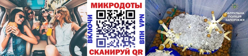 Галлюциногенные грибы ЛСД  Купить  Гулькевичи 